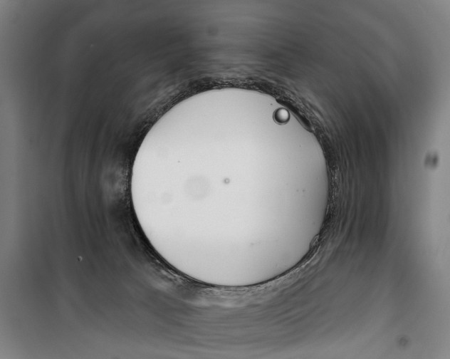 X0000099520033200806121512