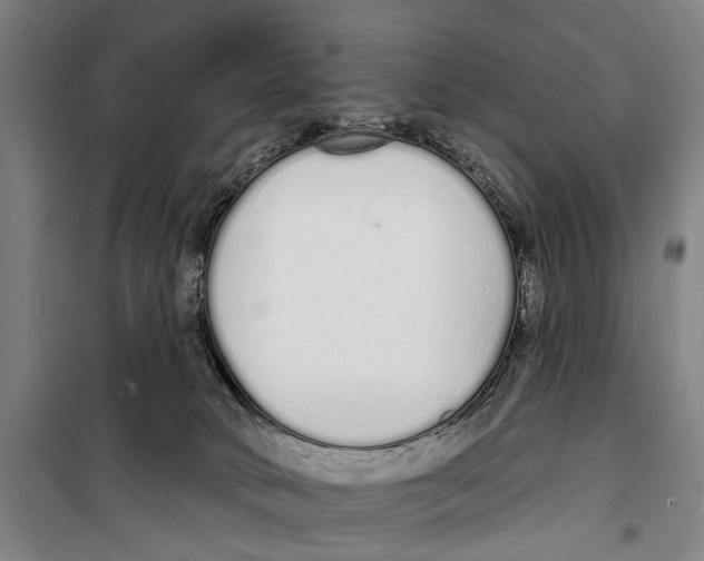 X0000099520034200806121512