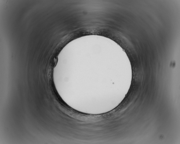 X0000099520036200806121512