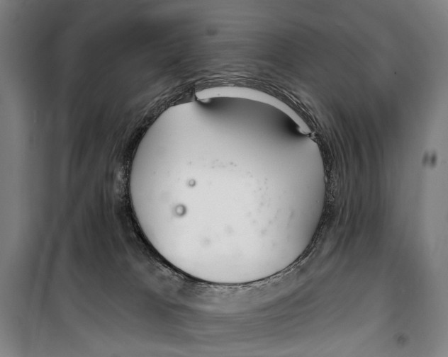 X0000099520037200806121512