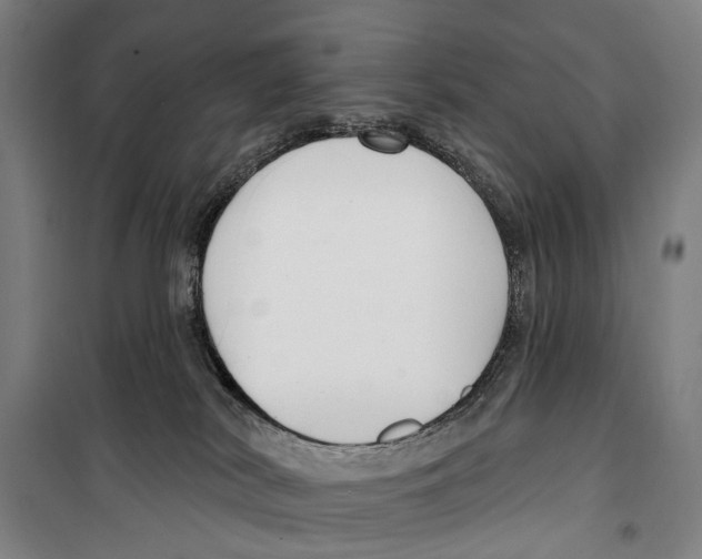 X0000099520038200806121512