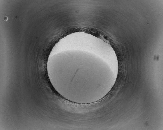 X0000099520039200806121512