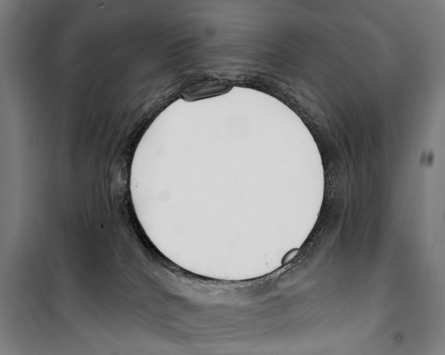 X0000099520040200806121512