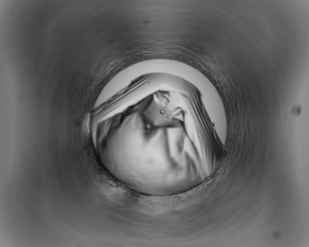 X0000099520041200806121512