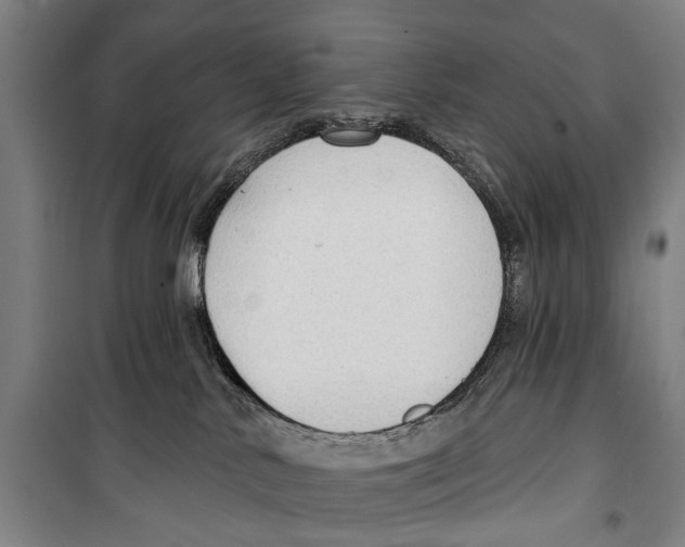 X0000099520042200806121512