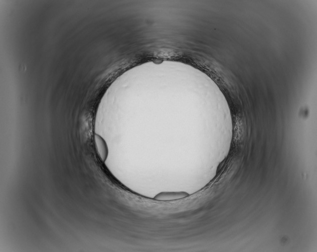 X0000099520043200806121512