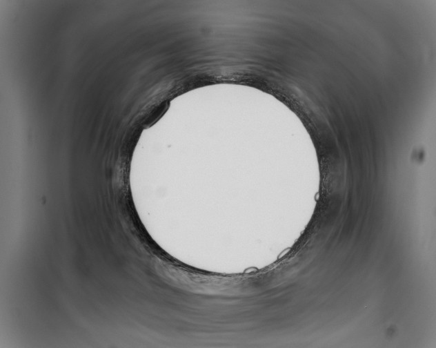 X0000099520044200806121512