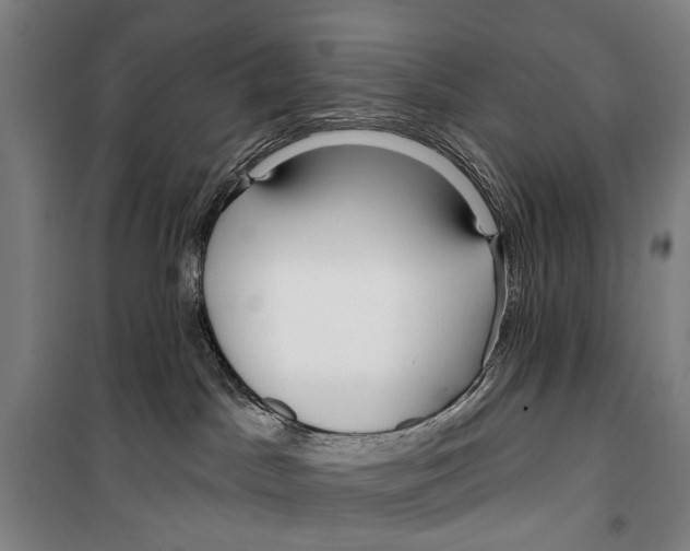 X0000099520045200806121512