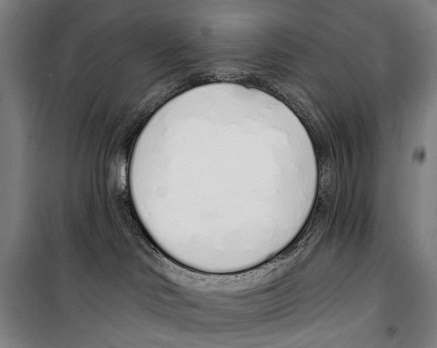 X0000099520046200806121512