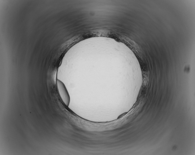 X0000099520047200806121512