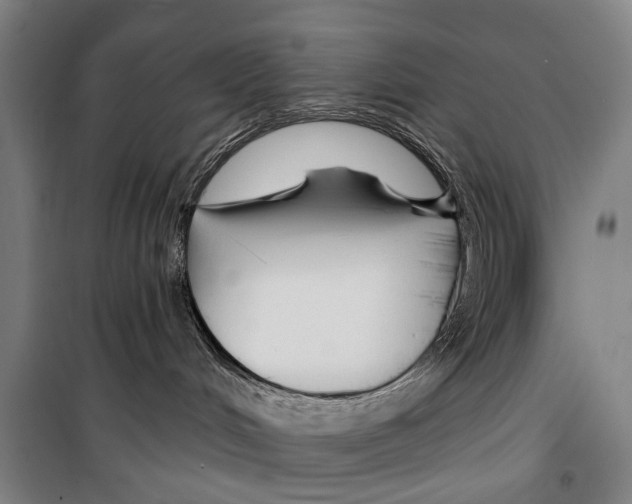 X0000099520048200806121512