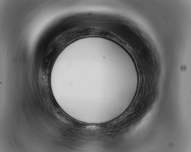 X0000099520050200806121511