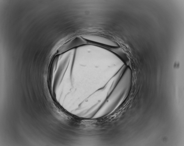 X0000099520051200806121511