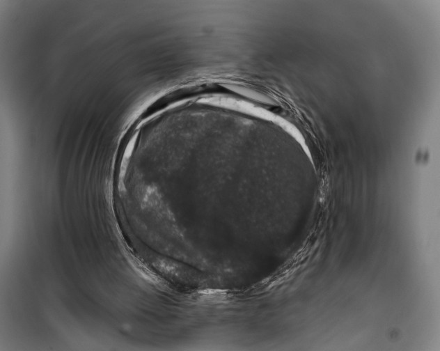 X0000099520052200806121511