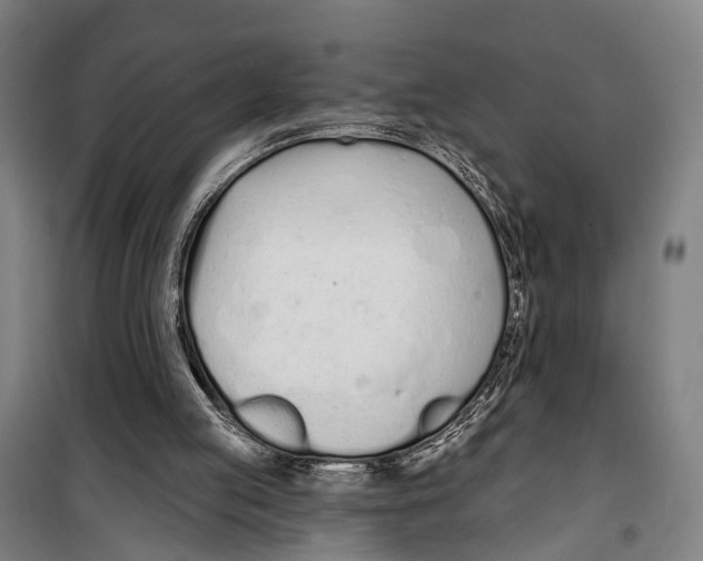 X0000099520053200806121511