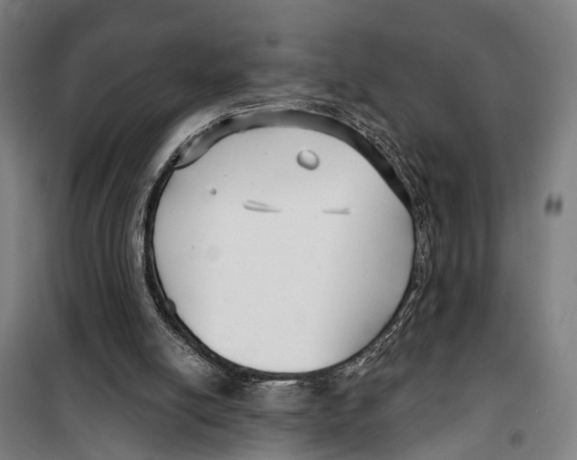 X0000099520054200806121511