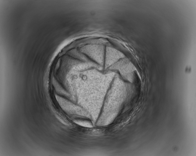 X0000099520056200806121511