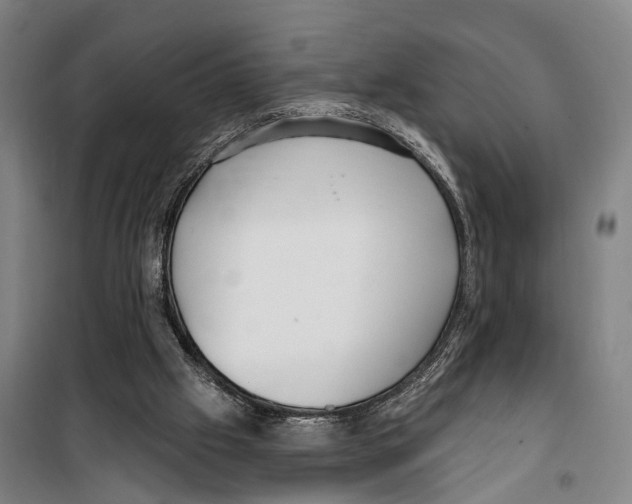 X0000099520057200806121511