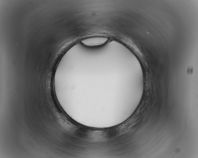 X0000099520058200806121511