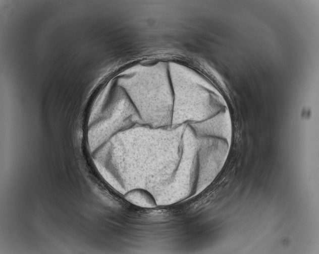 X0000099520059200806121511