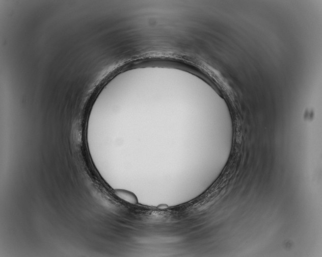 X0000099520060200806121511