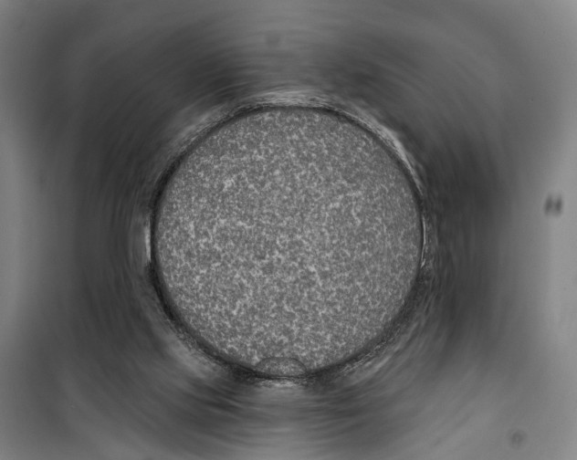 X0000099520061200806121511