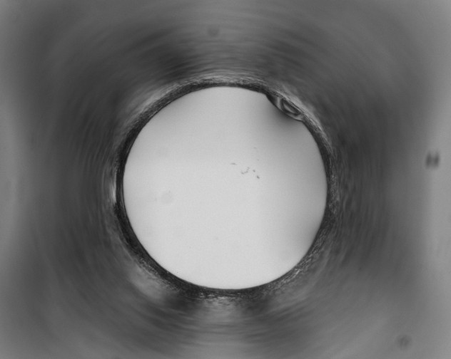 X0000099520062200806121511