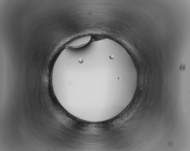 X0000099520064200806121511