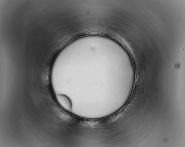 X0000099520065200806121511