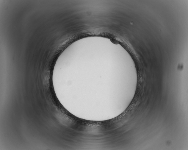 X0000099520066200806121511