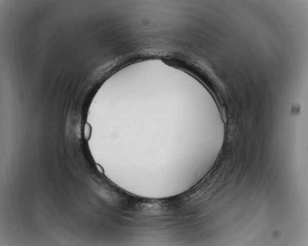 X0000099520068200806121511