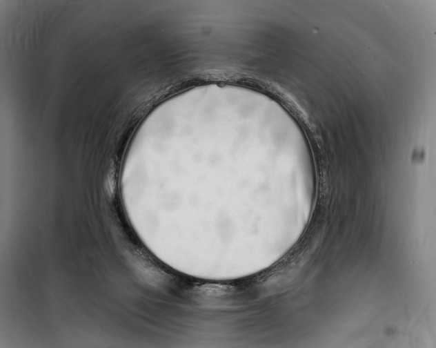 X0000099520069200806121511