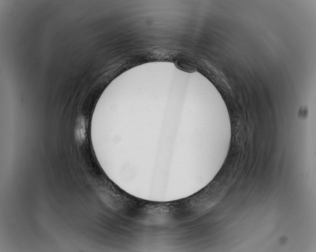 X0000099520075200806121511