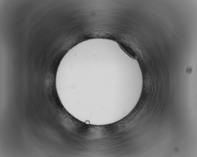 X0000099520079200806121511