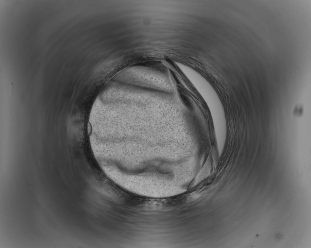 X0000099520080200806121511