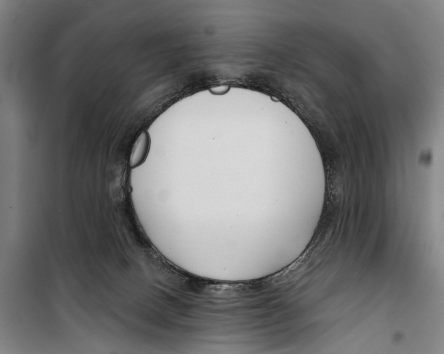 X0000099520082200806121511