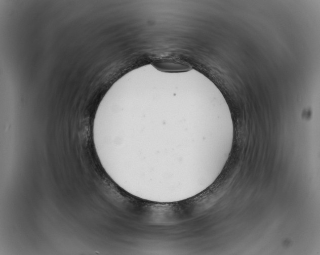 X0000099520085200806121511