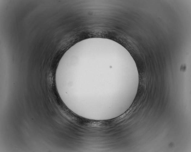 X0000099520086200806121511