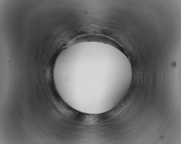 X0000099520088200806121511