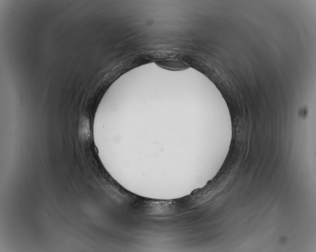 X0000099520089200806121511