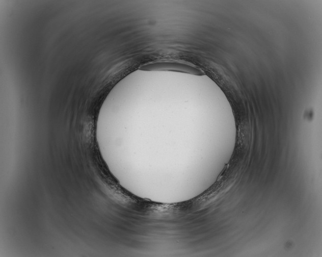 X0000099520092200806121511