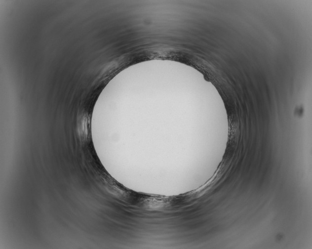 X0000099520094200806121512