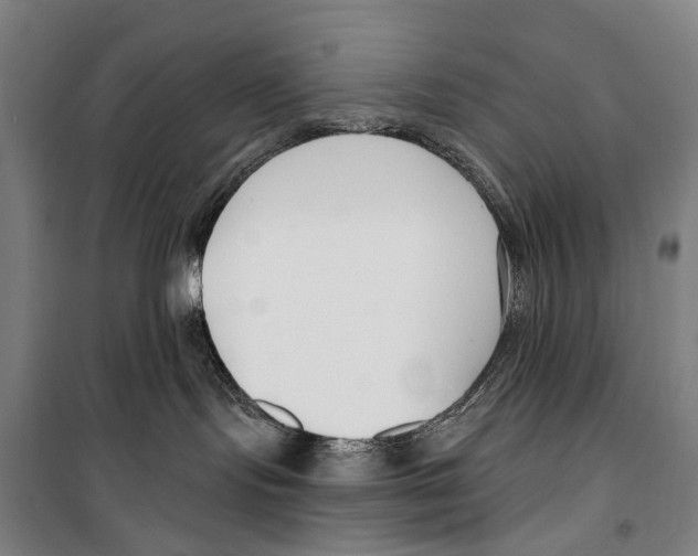 X0000099520095200806121512