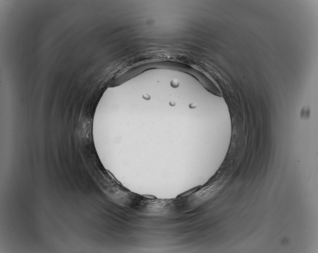 X0000099520096200806121512