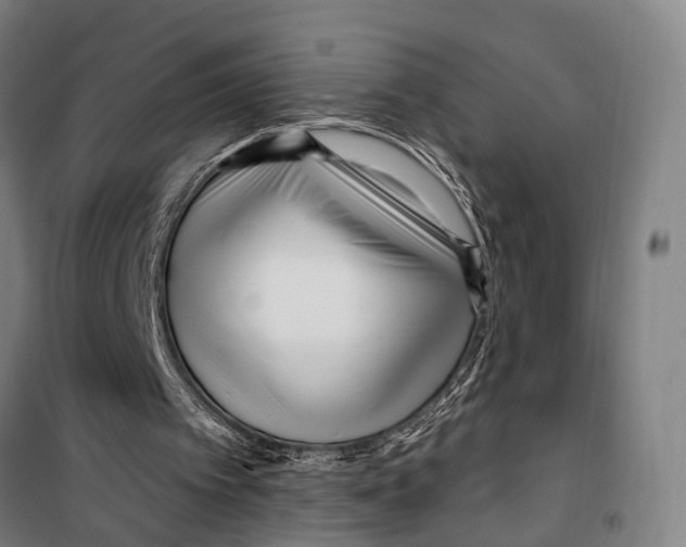 X0000099520097200806121511