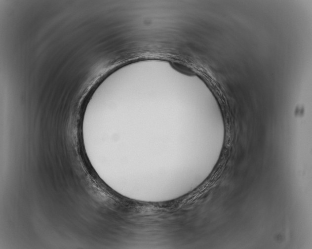 X0000099520098200806121511