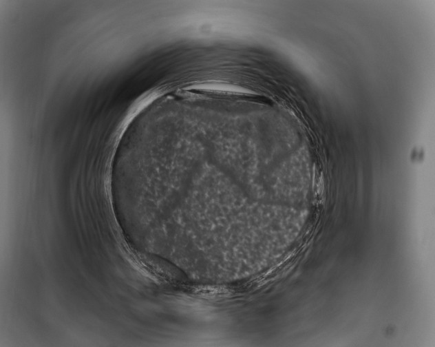 X0000099520099200806121511