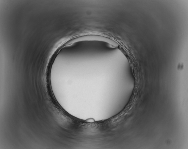 X0000099520104200806121511