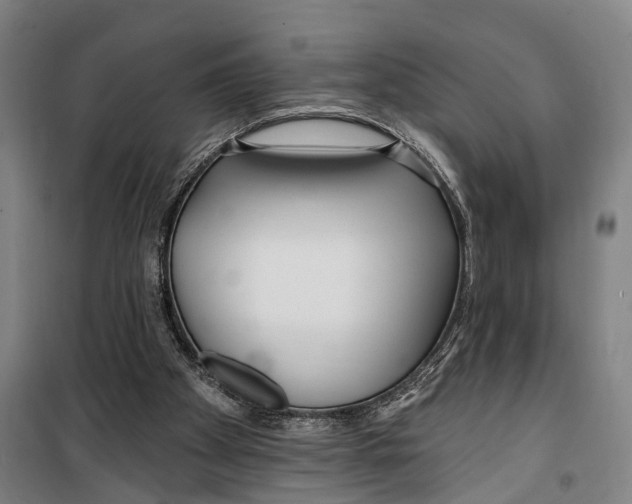 X0000099520105200806121511