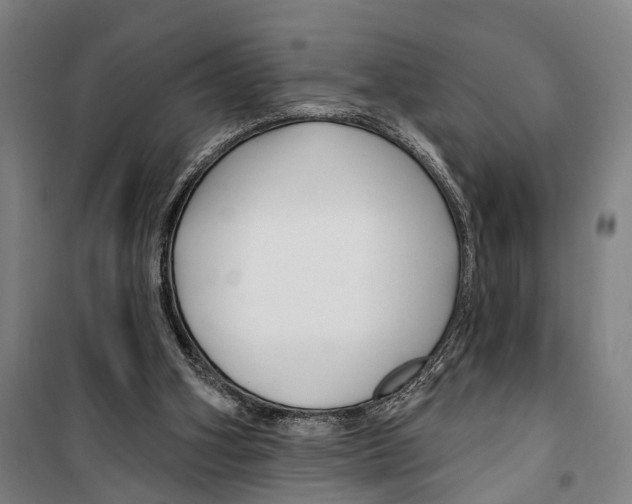 X0000099520106200806121511